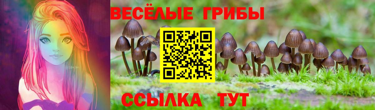 Видное  где можно купить   Вход с VPN  Галлюциногенные грибы Cubensis 